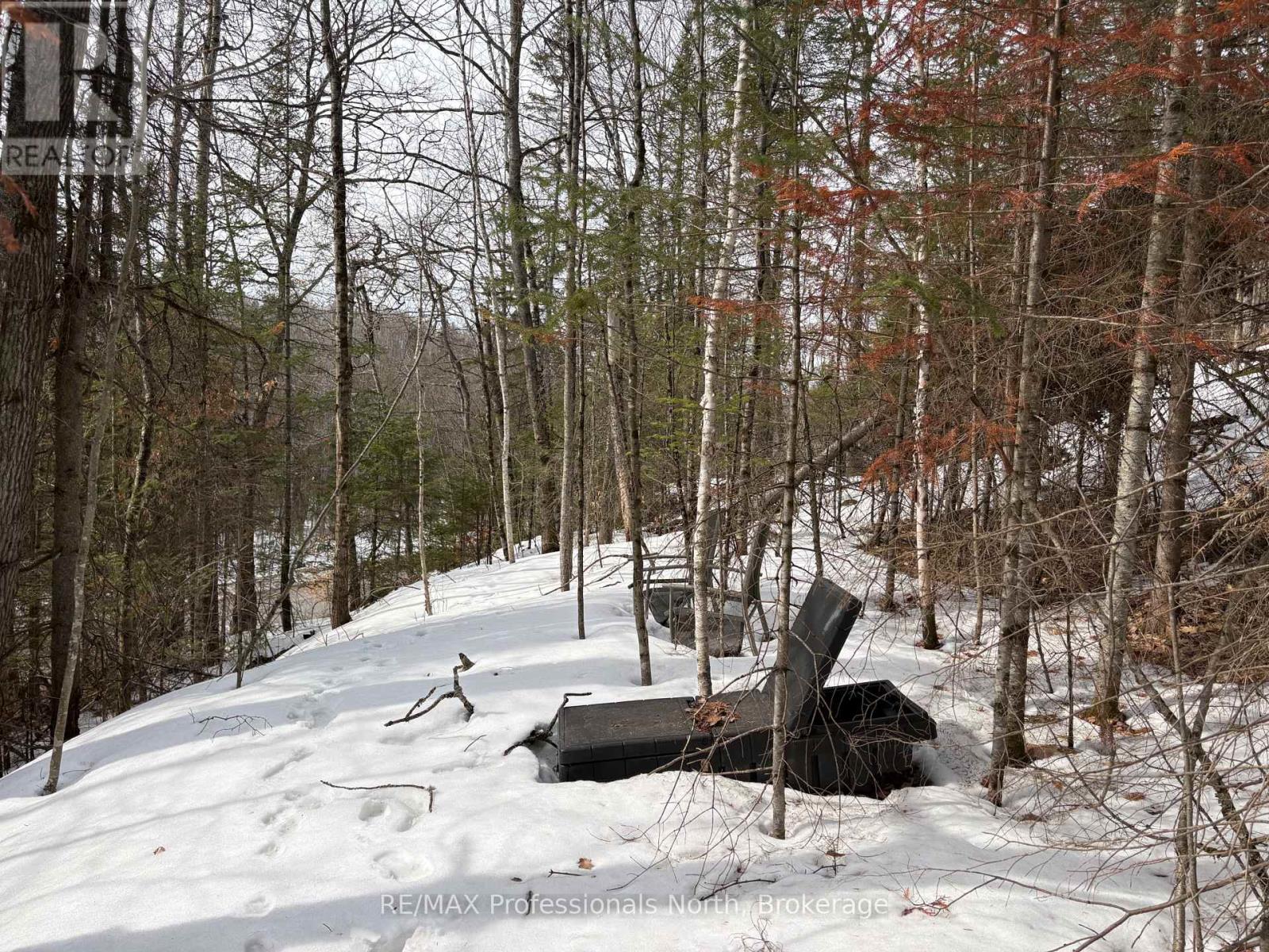 0 Trapper's Trail Road, Dysart Et Al, Ontario  K0M 1S0 - Photo 14 - X12953098