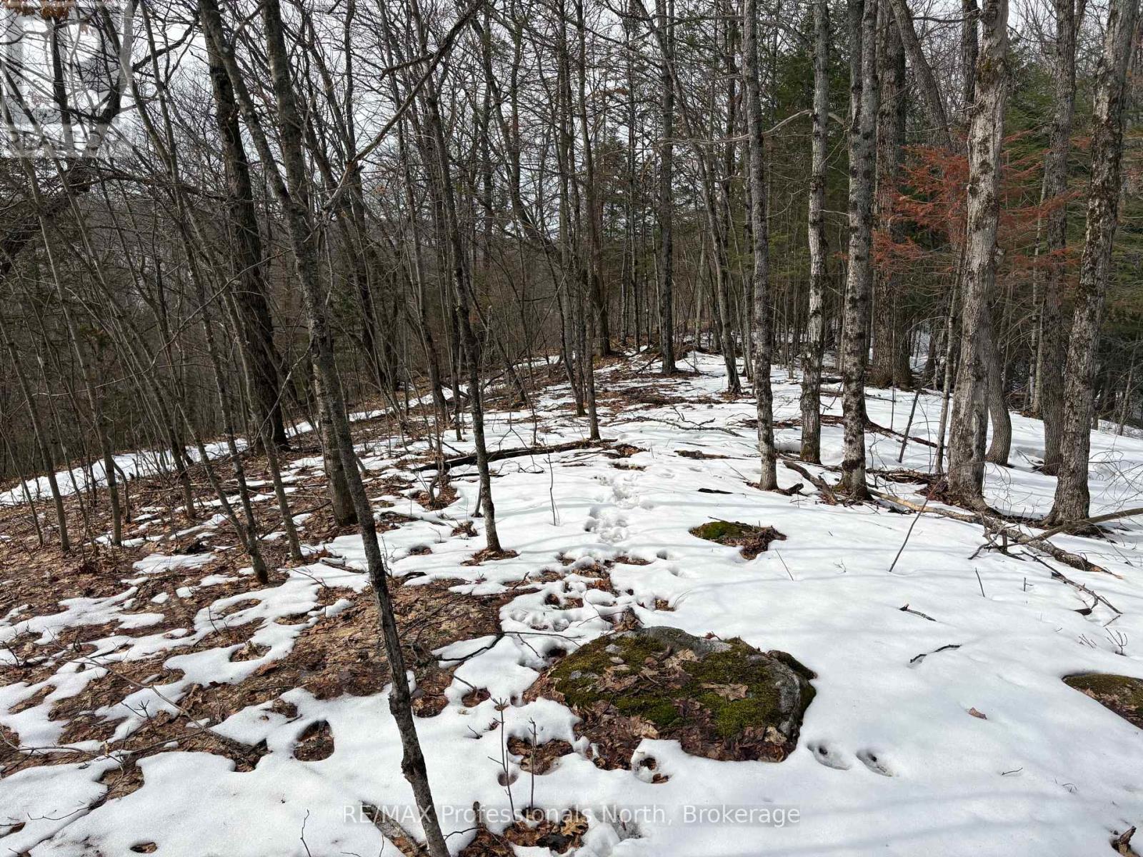 0 Trapper's Trail Road, Dysart Et Al, Ontario  K0M 1S0 - Photo 15 - X12953098