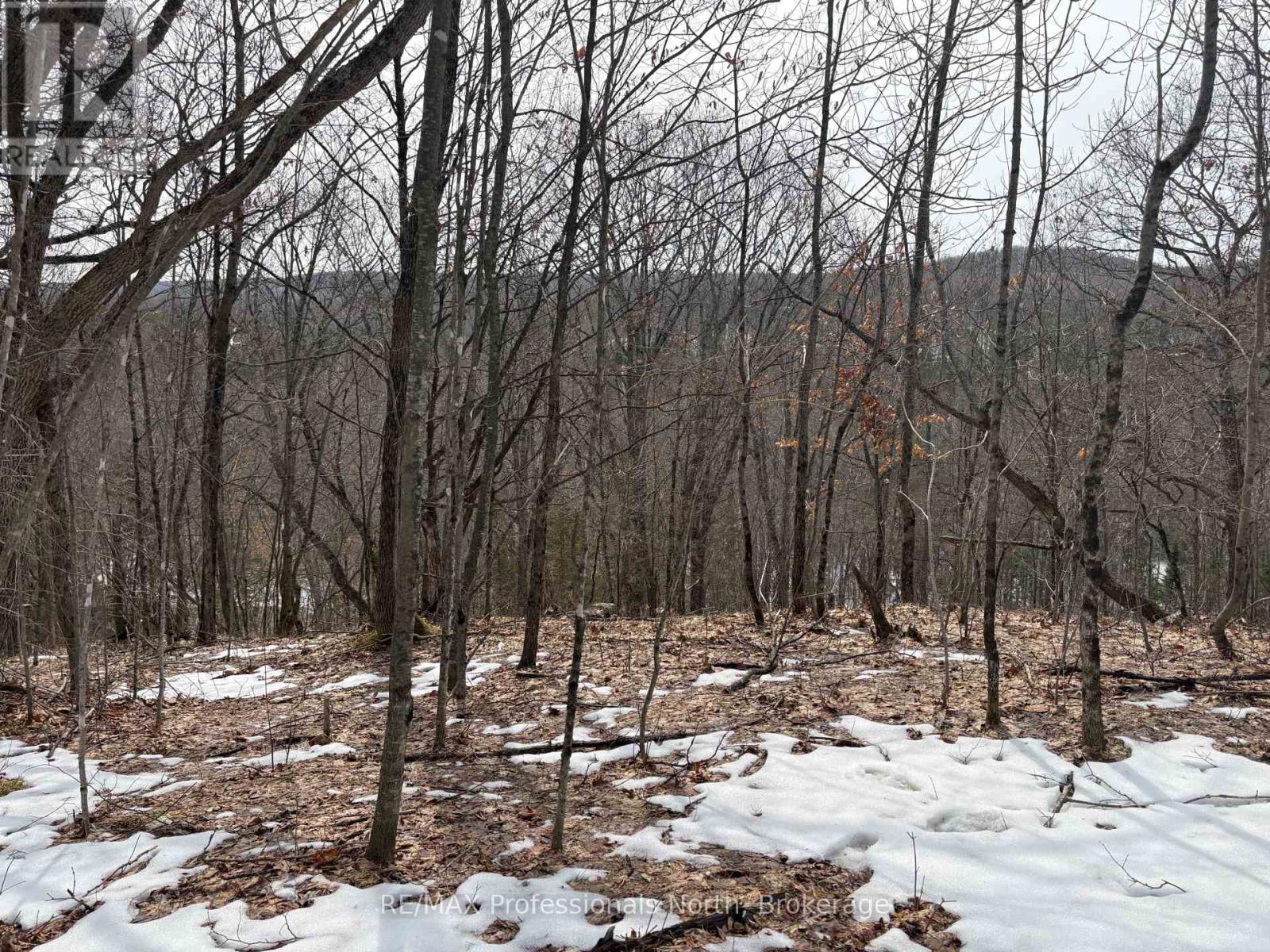 0 Trapper's Trail Road, Dysart Et Al, Ontario  K0M 1S0 - Photo 16 - X12953098