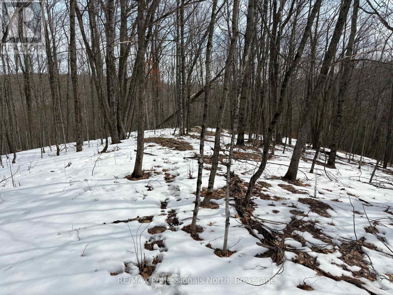 0 Trapper's Trail Road, Dysart Et Al, Ontario  K0M 1S0 - Photo 17 - X12953098