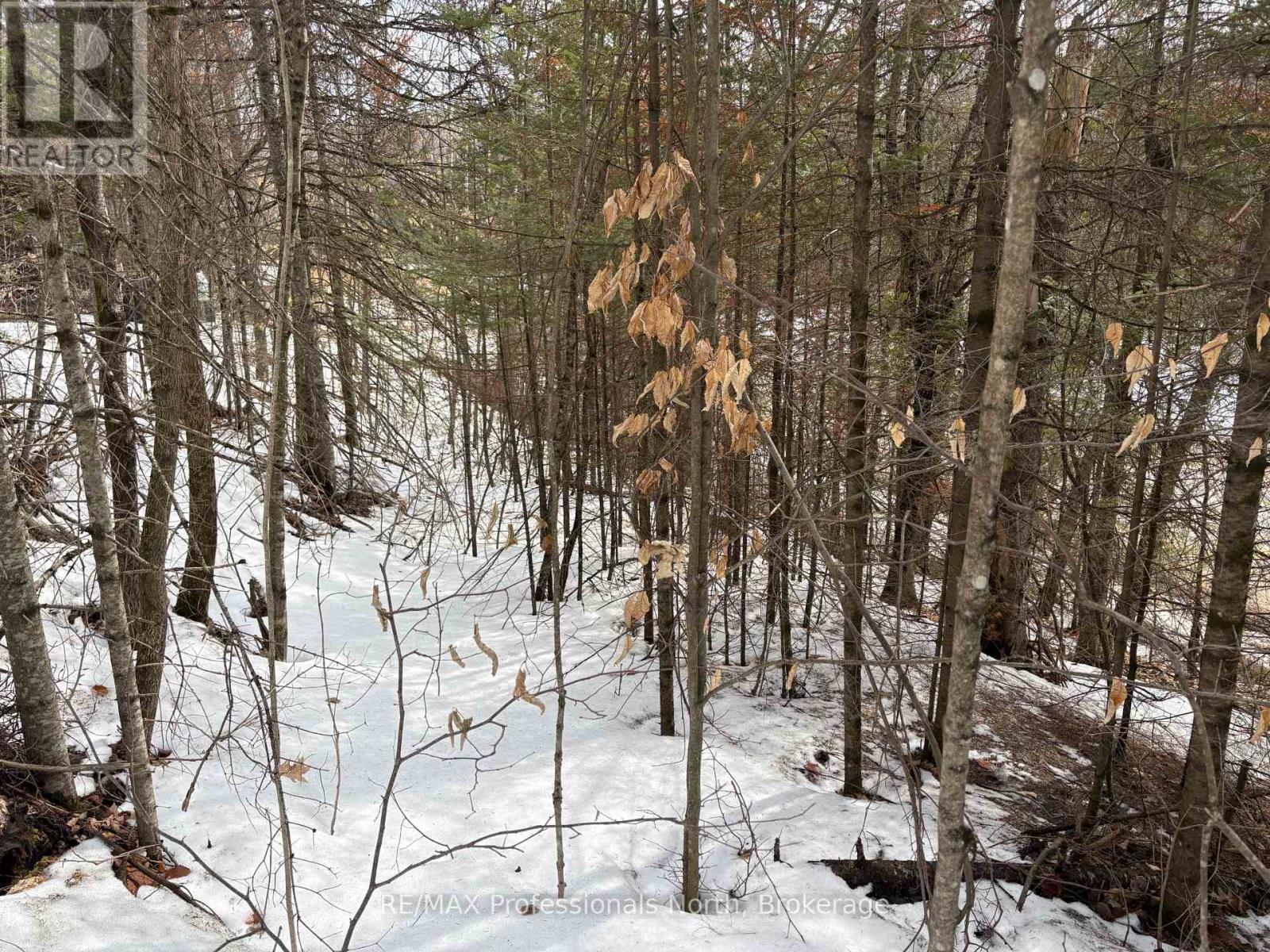 0 Trapper's Trail Road, Dysart Et Al, Ontario  K0M 1S0 - Photo 20 - X12953098