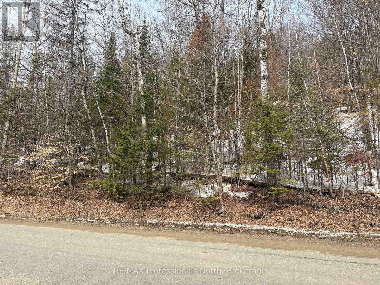 0 Trapper's Trail Road, Dysart Et Al, Ontario  K0M 1S0 - Photo 23 - X12953098