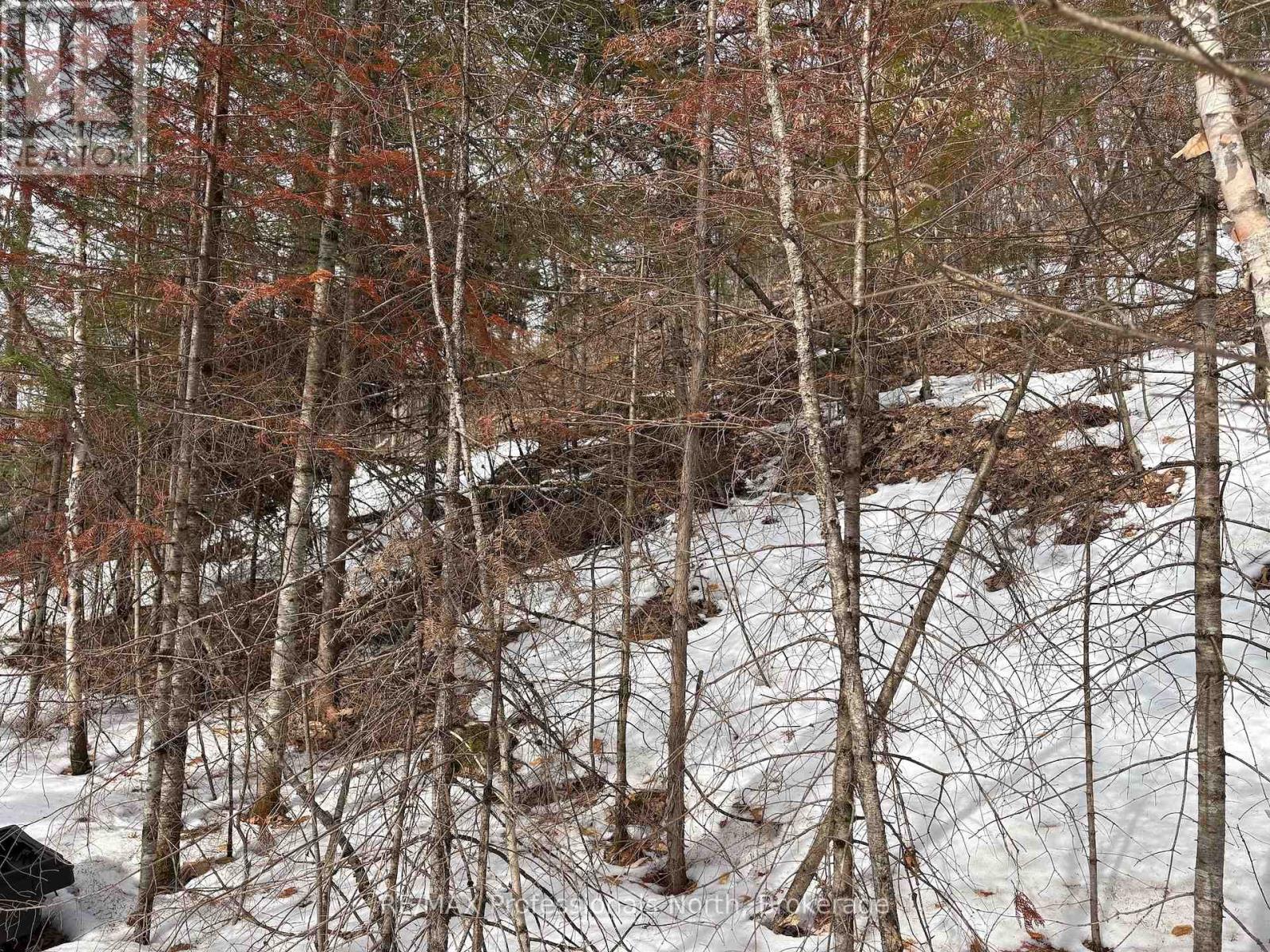 0 Trapper's Trail Road, Dysart Et Al, Ontario  K0M 1S0 - Photo 24 - X12953098