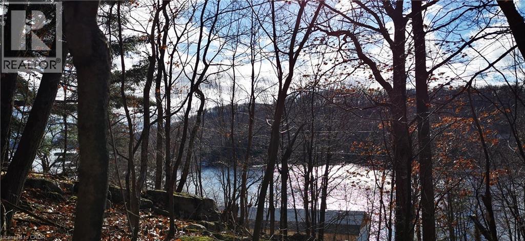 0 Echo Bay Road, Dwight, Ontario  P0A 1H0 - Photo 4 - 40807913