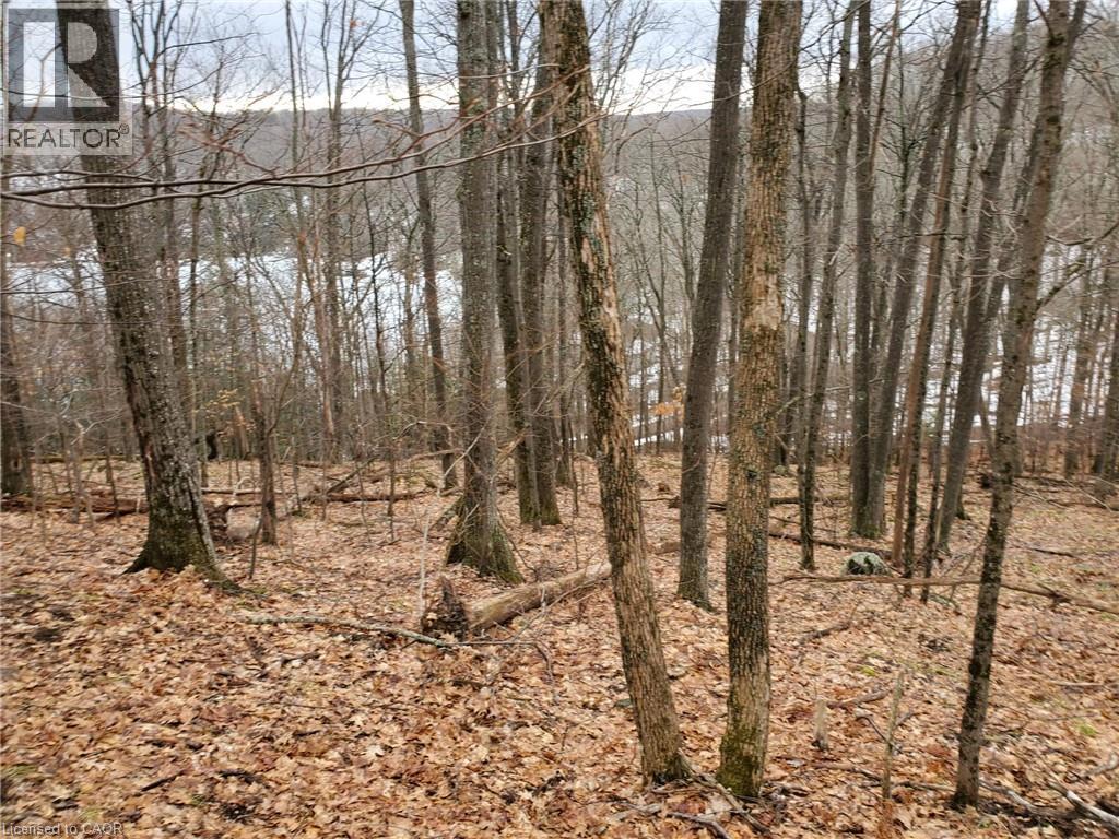 0 Echo Bay Road, Dwight, Ontario  P0A 1H0 - Photo 5 - 40807913