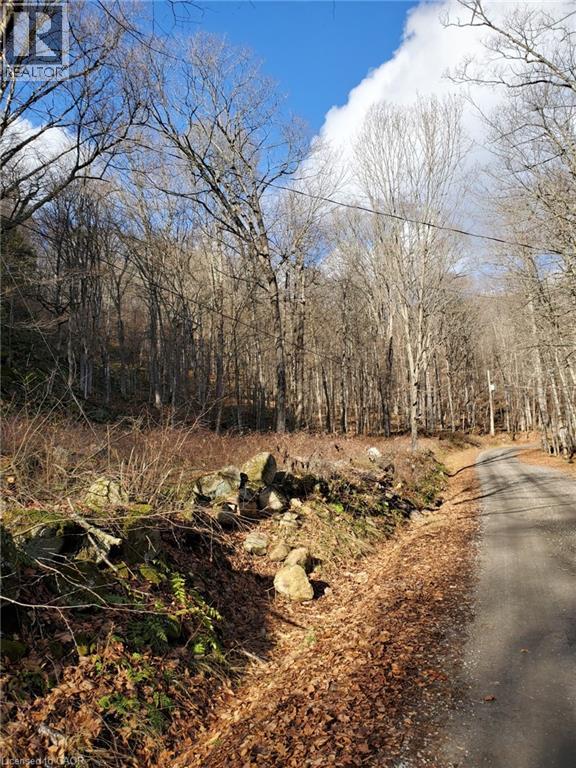 0 Echo Bay Road, Dwight, Ontario  P0A 1H0 - Photo 7 - 40807913