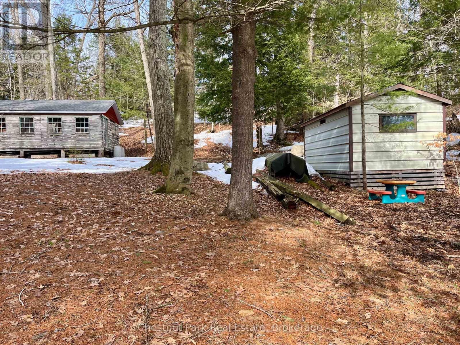 34 Harris Street, Muskoka Lakes, Ontario  P0B 1J0 - Photo 13 - X12955158