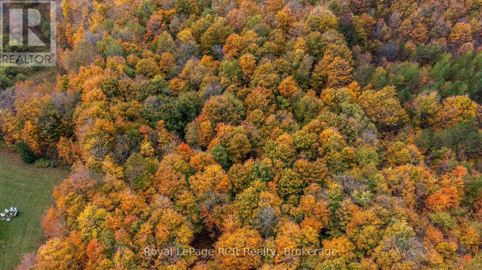 00 9th Line, Grey Highlands, Ontario  N0C 1H0 - Photo 11 - X12956938