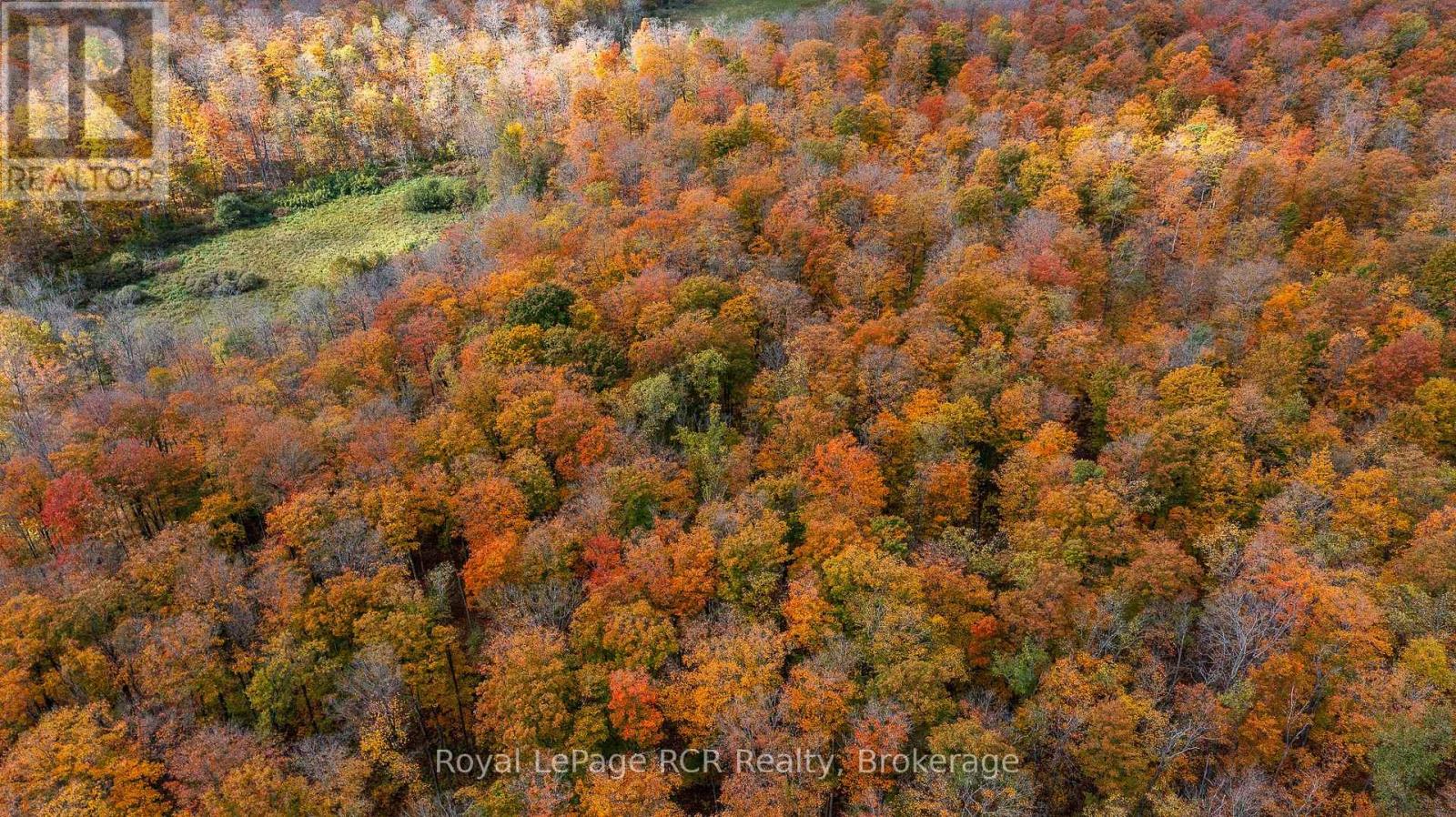 00 9th Line, Grey Highlands, Ontario  N0C 1H0 - Photo 2 - X12956938