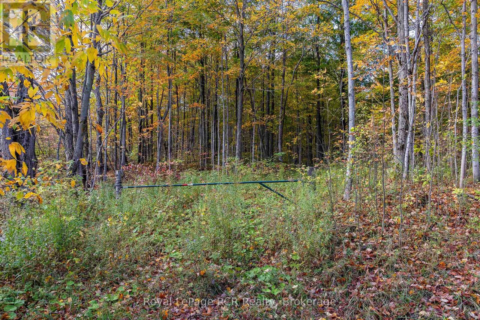 00 9th Line, Grey Highlands, Ontario  N0C 1H0 - Photo 4 - X12956938