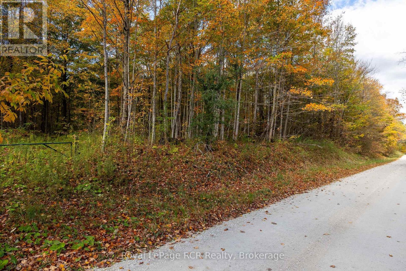 00 9th Line, Grey Highlands, Ontario  N0C 1H0 - Photo 5 - X12956938