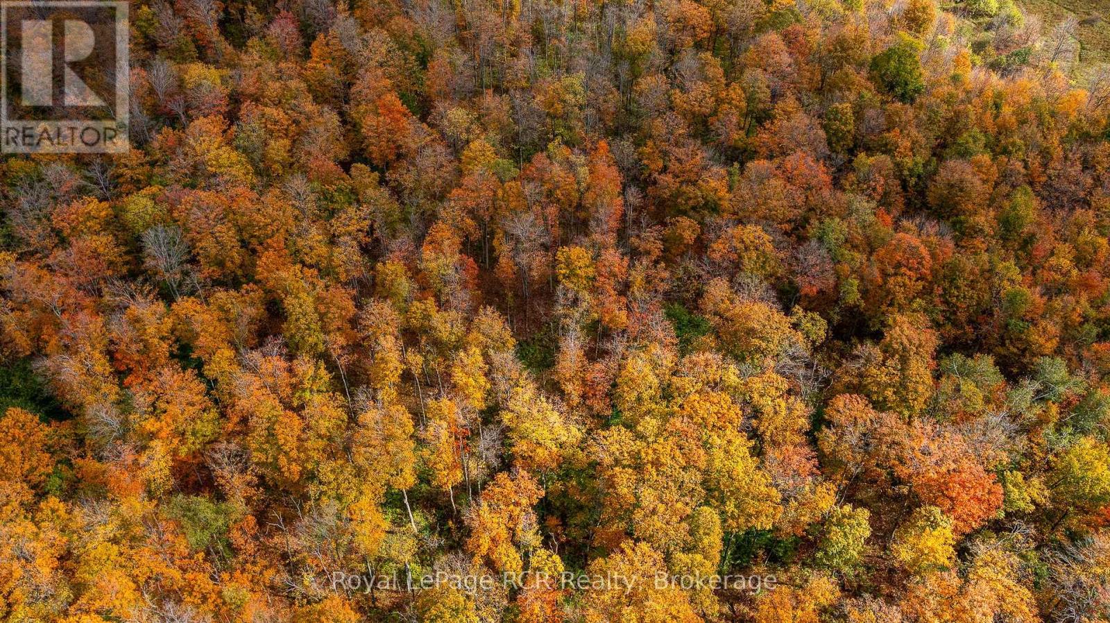00 9th Line, Grey Highlands, Ontario  N0C 1H0 - Photo 8 - X12956938