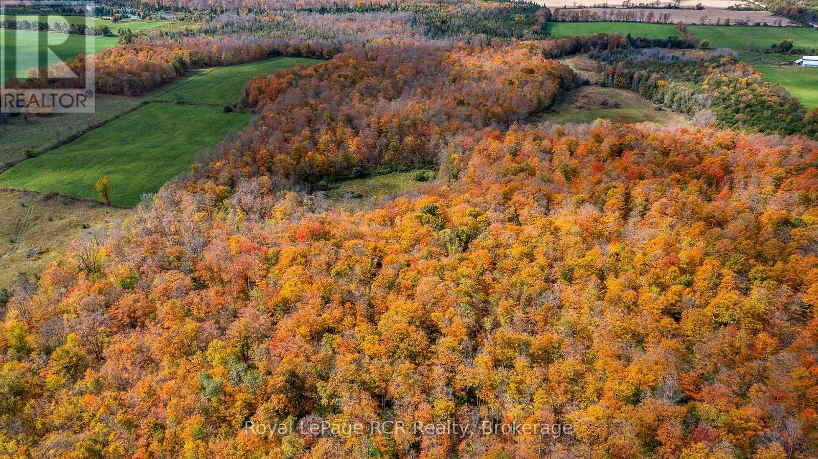 00 9th Line, Grey Highlands, Ontario  N0C 1H0 - Photo 9 - X12956938