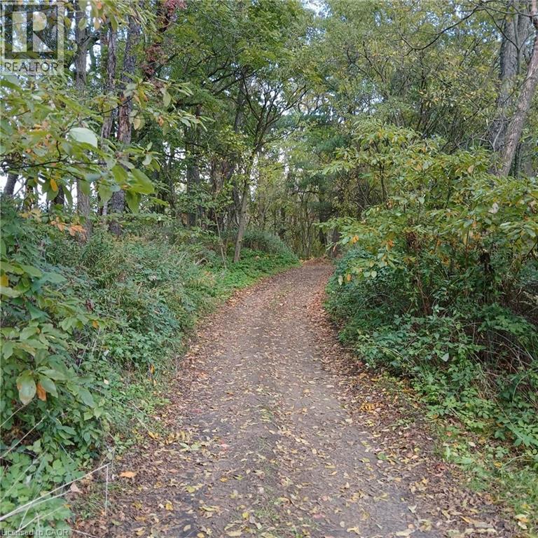 535 Mcdowell Road E, Simcoe, Ontario  N3Y 4J9 - Photo 39 - 40817288