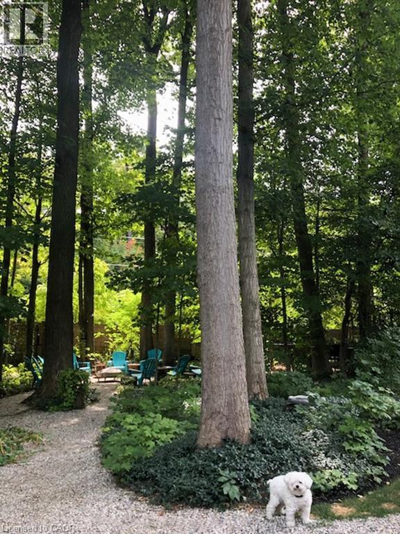 24 Primrose Path, Kitchener, Ontario  N2E 2R2 - Photo 42 - 40817477