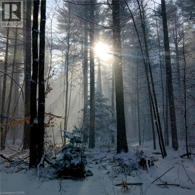 535 Mcdowell Road E, Simcoe, Ontario  N3Y 4J9 - Photo 41 - 40818146