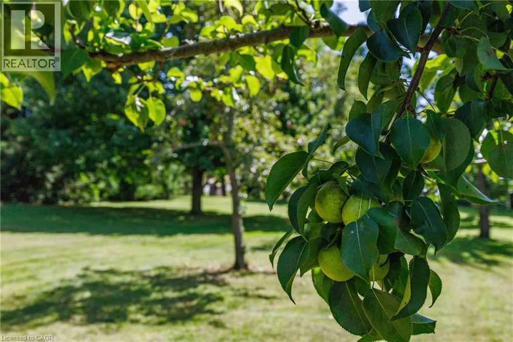 1285 Cockshutt Road, Simcoe, Ontario  N3Y 4K3 - Photo 43 - 40817812