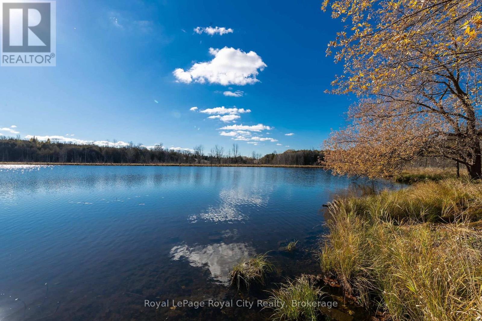 6361 16th Line, Minto, Ontario  N0G 1M0 - Photo 16 - X12969004