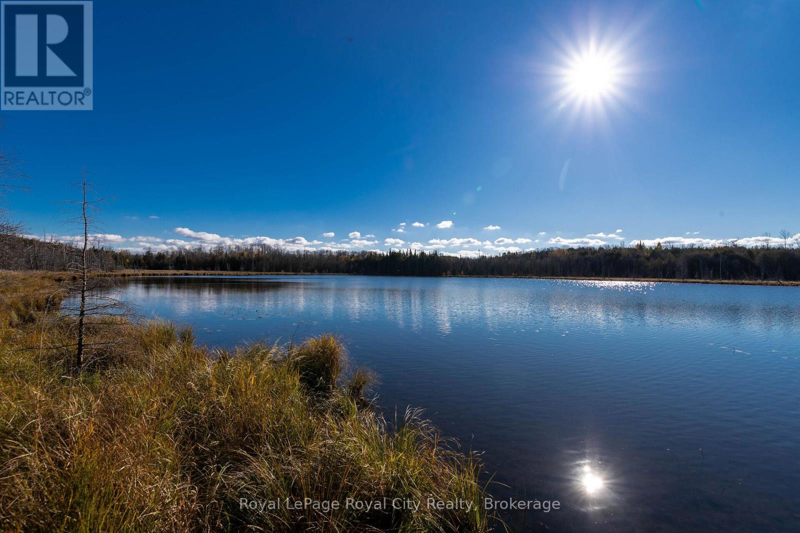 6361 16th Line, Minto, Ontario  N0G 1M0 - Photo 17 - X12969004