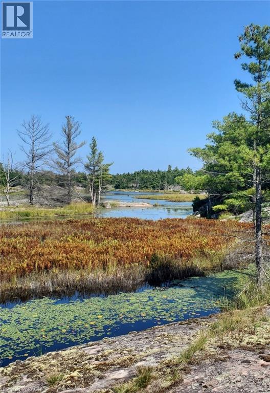 891 Peninsula Road, Gravenhurst, Ontario  P1P 0E2 - Photo 43 - 40818574
