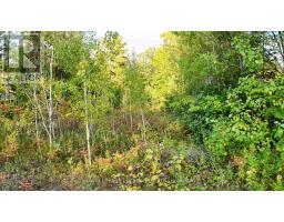 LOT 17 RONALD AVE AVENUE, Tiny, Ontario