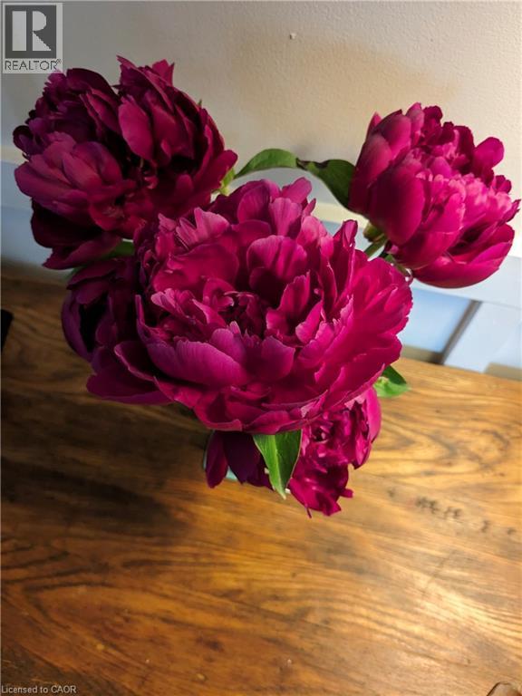 136 Glenariff Drive, Hamilton, Ontario  L8B 1A5 - Photo 40 - 40818769