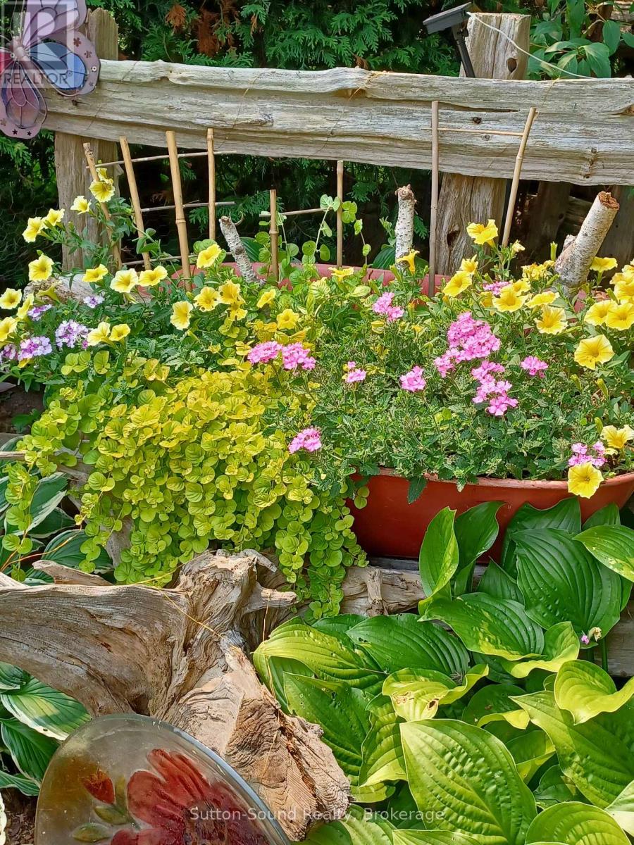 50 4th Avenue W, Owen Sound, Ontario  N4K 4V2 - Photo 45 - X12974912