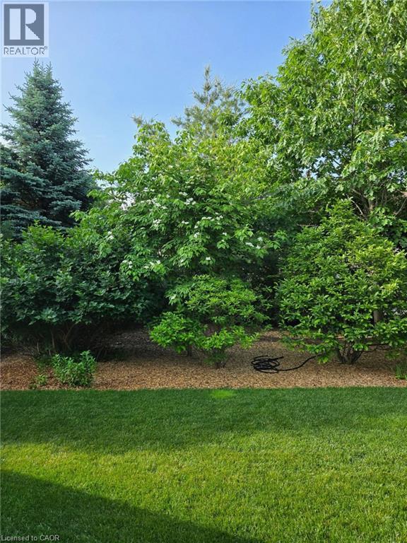 224 Oregon Court, Kitchener, Ontario  N2P 2S4 - Photo 45 - 40819538