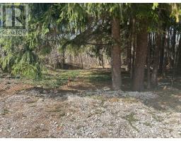 PTLT9-10 MCNAUGHTON STREET, South Bruce Peninsula, Ontario