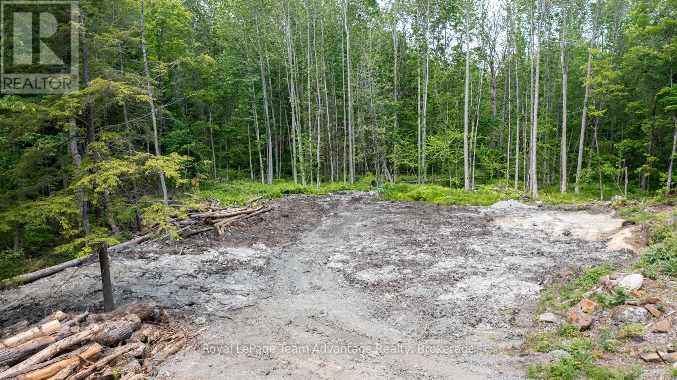 40 Sunnyshore Park Drive, Mckellar, Ontario  P2A 0B5 - Photo 5 - X12985016