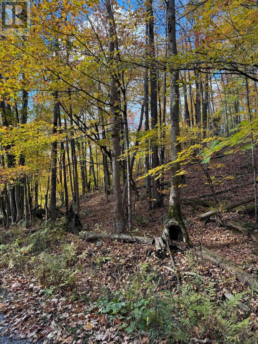 353C BALSAM CREEK ROAD, Parry Sound Remote Area, Ontario