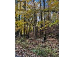 353C BALSAM CREEK ROAD, Parry Sound Remote Area, Ontario