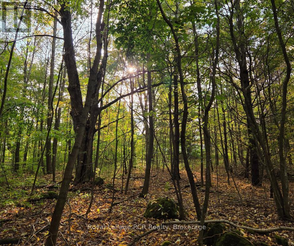 N/A SIMPSON, Grey Highlands, Ontario