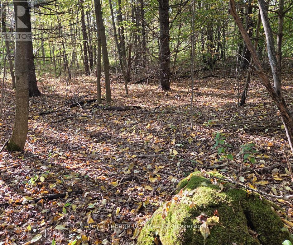 N/a Simpson, Grey Highlands, Ontario  N0C 1E0 - Photo 3 - X12995580