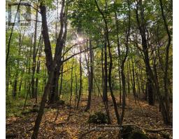 N/A SIMPSON, Grey Highlands, Ontario