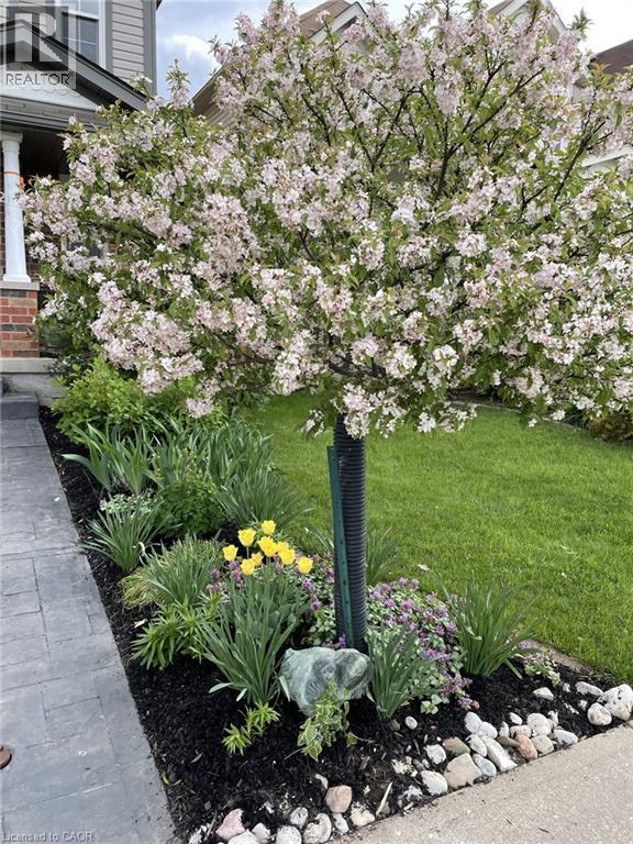 126 Snowdrop Crescent, Kitchener, Ontario  N2E 4G7 - Photo 37 - 40820445