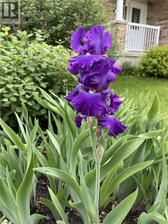 126 Snowdrop Crescent, Kitchener, Ontario  N2E 4G7 - Photo 38 - 40820445