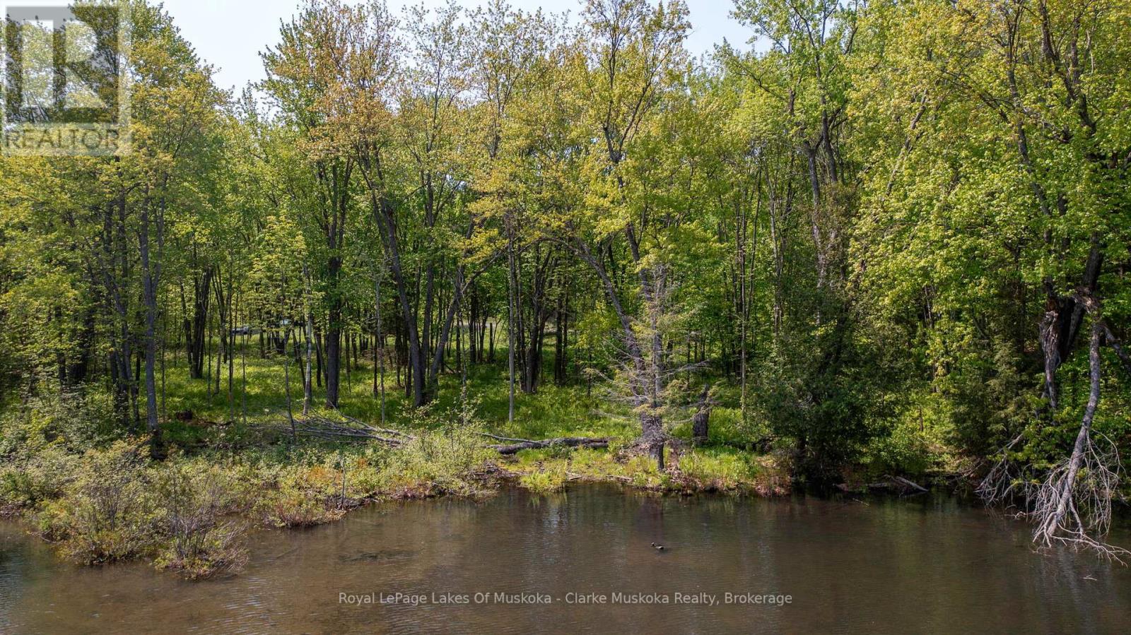 0 Maplehurst Road, Seguin, Ontario  P0C 1J0 - Photo 15 - X12997660