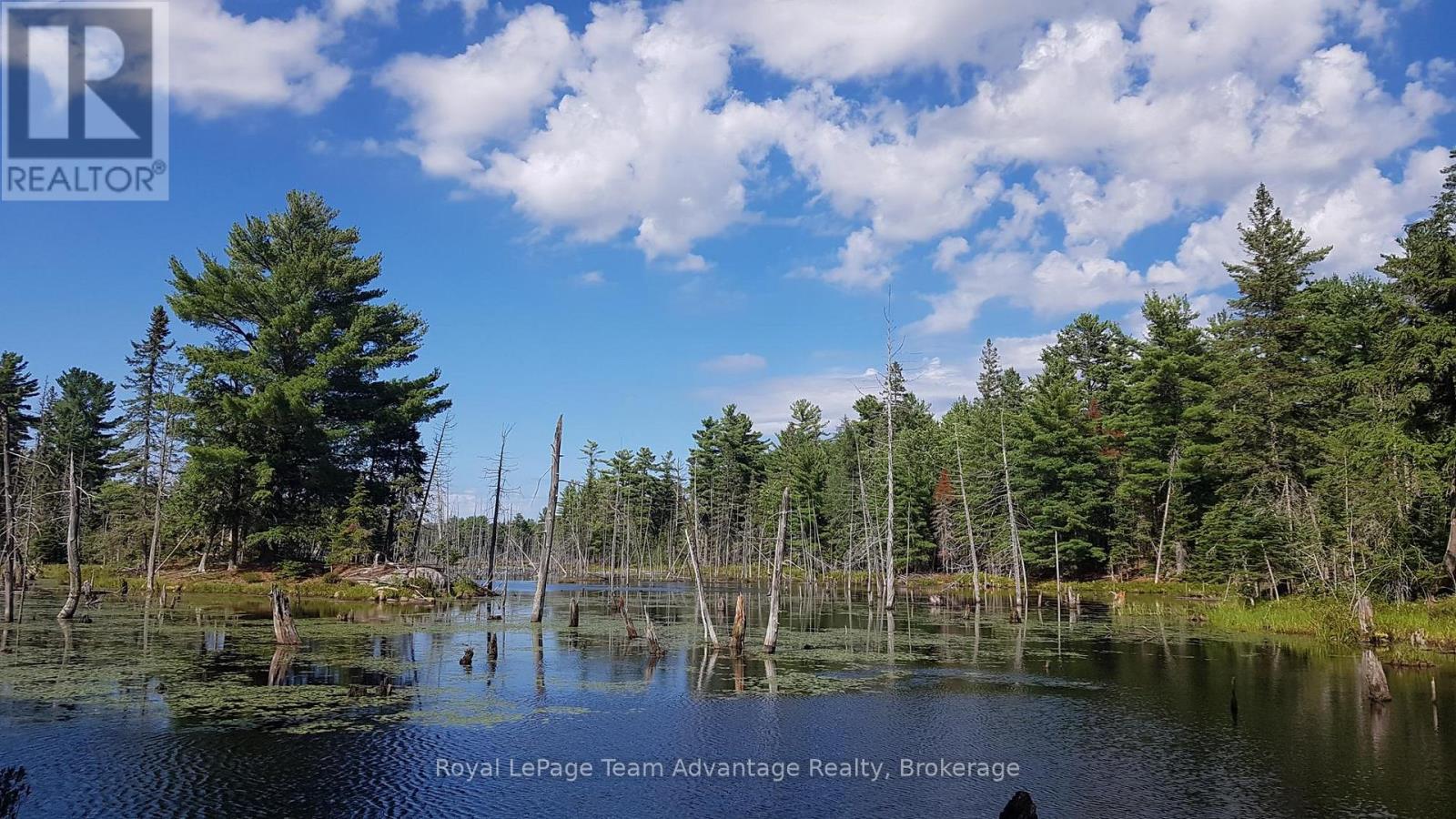 0 UNOPENED ROAD ALLOWANCE ROAD, McKellar, Ontario