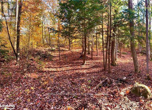 60 Hawksview Lane, Seguin, Ontario  P2A 0B2 - Photo 17 - X13026240