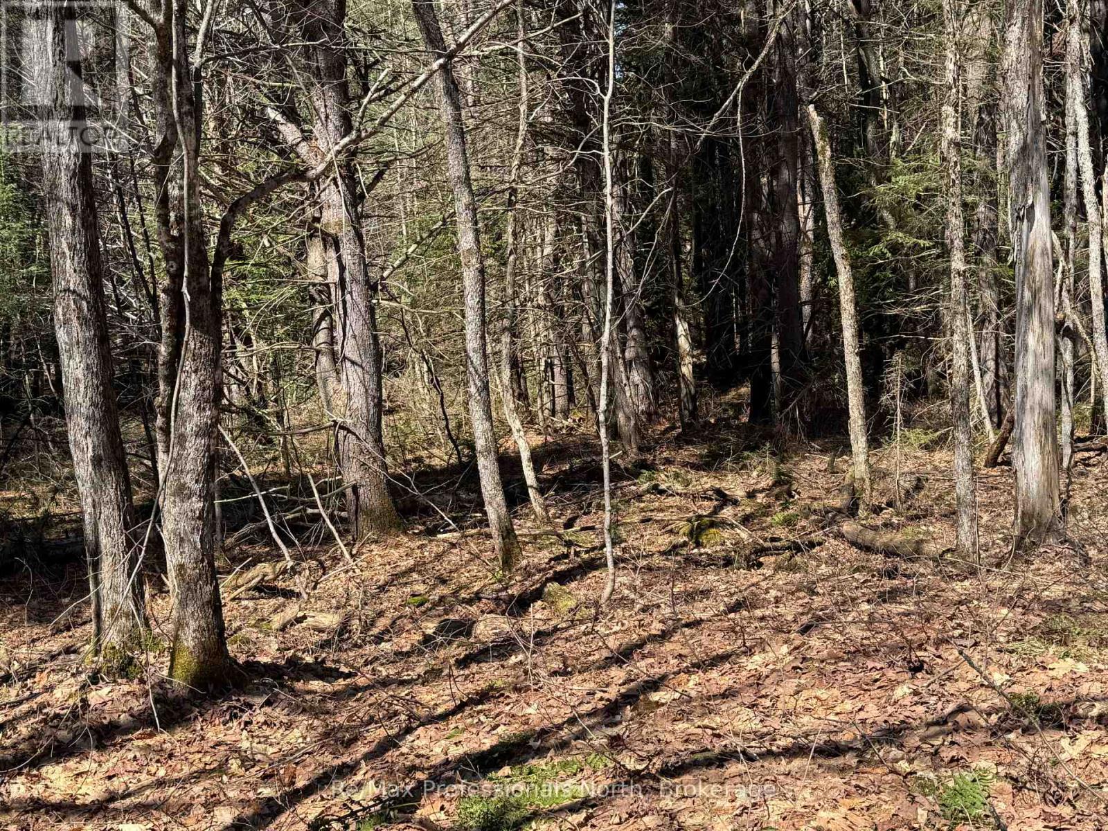 LOT 16 CON 2 DRAPER, Bracebridge, Ontario