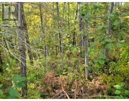 32 - 4 FOX RUN LANE, Huntsville, Ontario