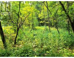 26 - 35 MOUNT VERNON TRAIL, Huntsville, Ontario